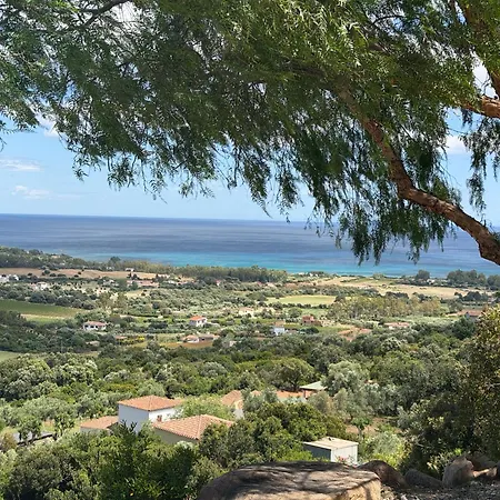 Carina Tertenia